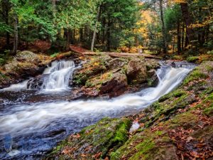 Overlooked Falls