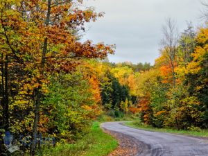 Twisty Autumn Road