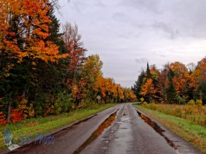 Road Reflections