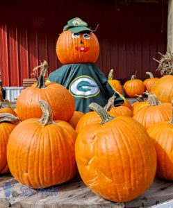 Football Pumpkin Fan