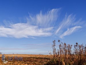 Clouds Flaring Up