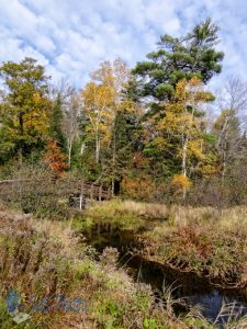 Near the Headwaters of the Wisconsin River