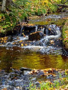 Golden Water