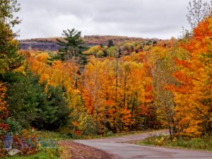 Autumn Drive