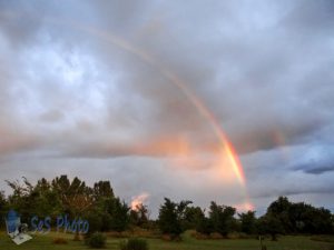 Summer Rainbow