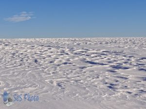 Snow Waves