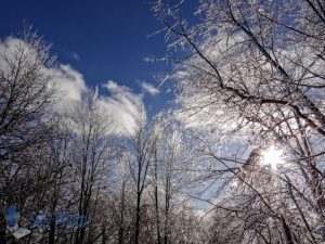 Icy Limbs