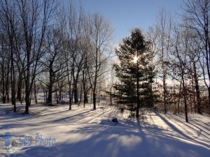 Frosty Sunday Morning