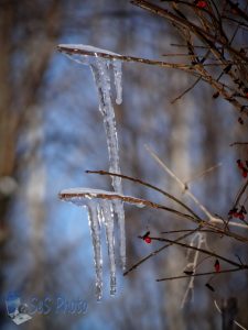 Ice Forming