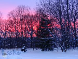 Winter Sunset