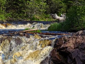 Water Falling