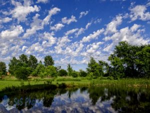 Warmer Time at the Pond