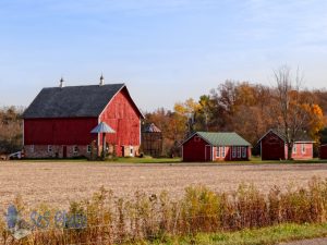 Dry Barns