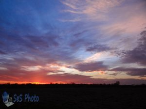 Early May Sunset