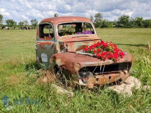 Flower Truck