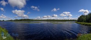 Summertime at the Lake