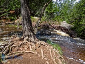 Summer Sunday Hike