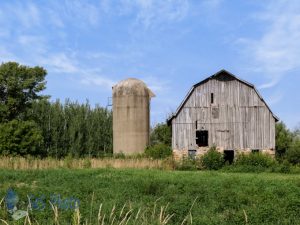 Barn Feeling Its Age