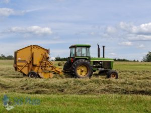 Farming Labor