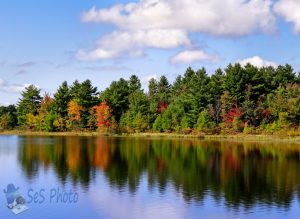 Autumn Reflections