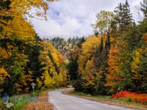 Autumn Sunday Drive