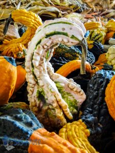 Basket of Gourds