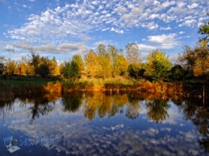 Autumn Afternoon at the Pond