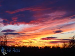 November Color in a Sunset