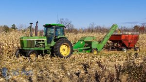 Harvest Time - Corn Picking