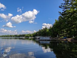 By the Lake in Summertime