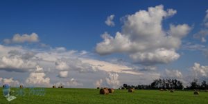 Baled Before the Rain