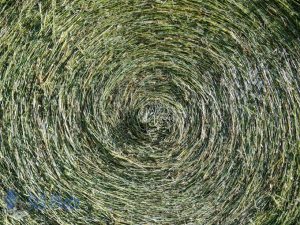 Spirals of Hay