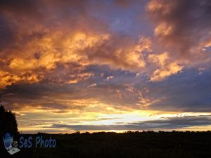 Late July Sunset