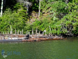 Lake Superior Shipwreck