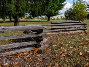 Split Rail Fence