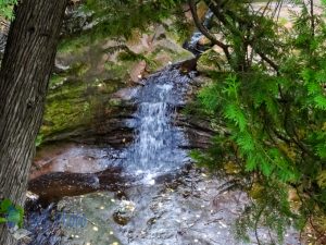 Top of Twin Falls