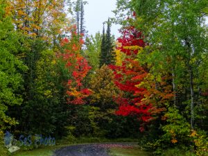 Wet Autumn