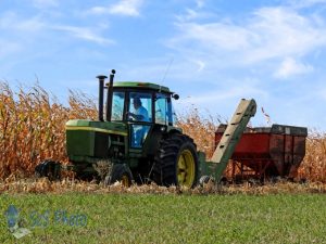 Corn Picking Before the Rain