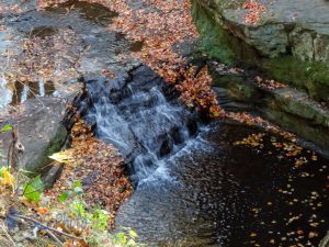 Leaves Washed Away