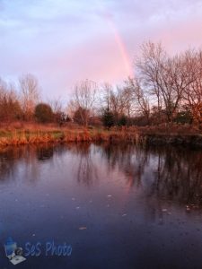 A Brief Rainbow