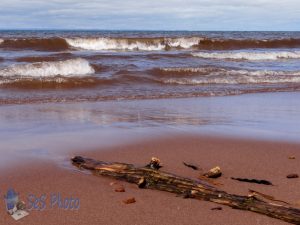 Beach Sweeping Waves