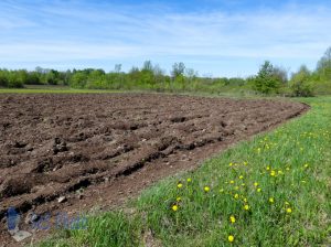 Spring Plowing