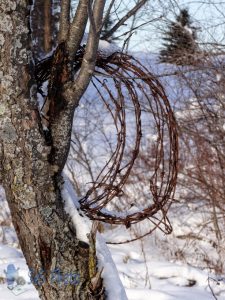 Winter Wire Wreath