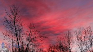 Windswept Sunset