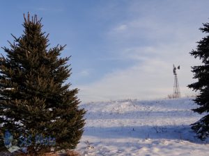 Furled Windmill