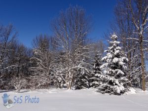 Bright Winter White