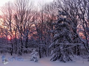 Chilly Sunset