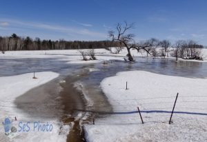 Creek Overflowing