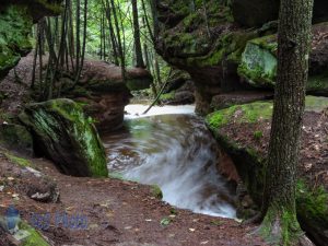 Green in the Glen