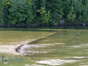 Lake Superior Shipwreck